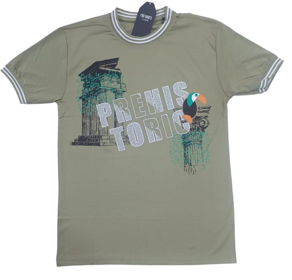Olive Stylish T-Shirt