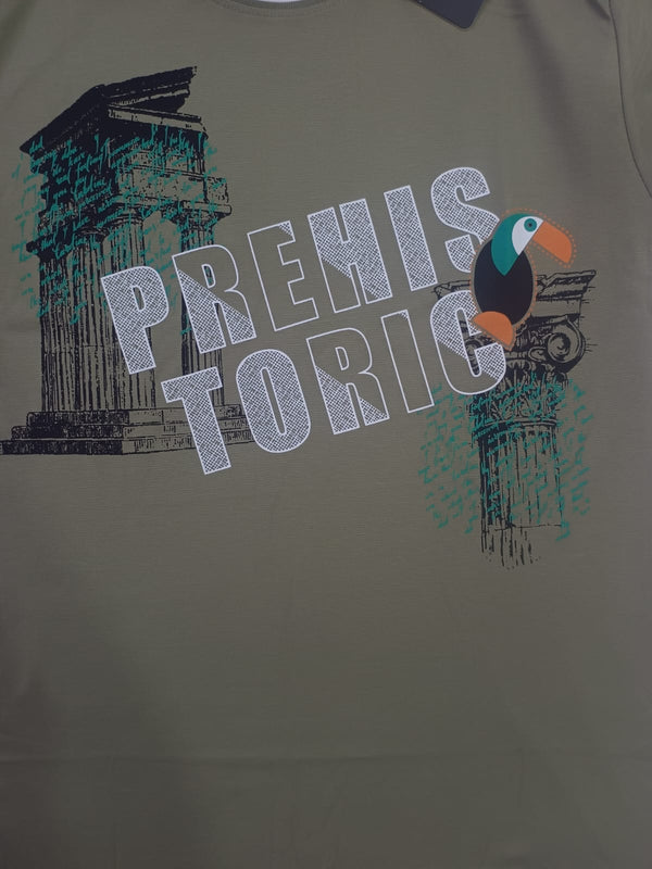 Olive Stylish T-Shirt