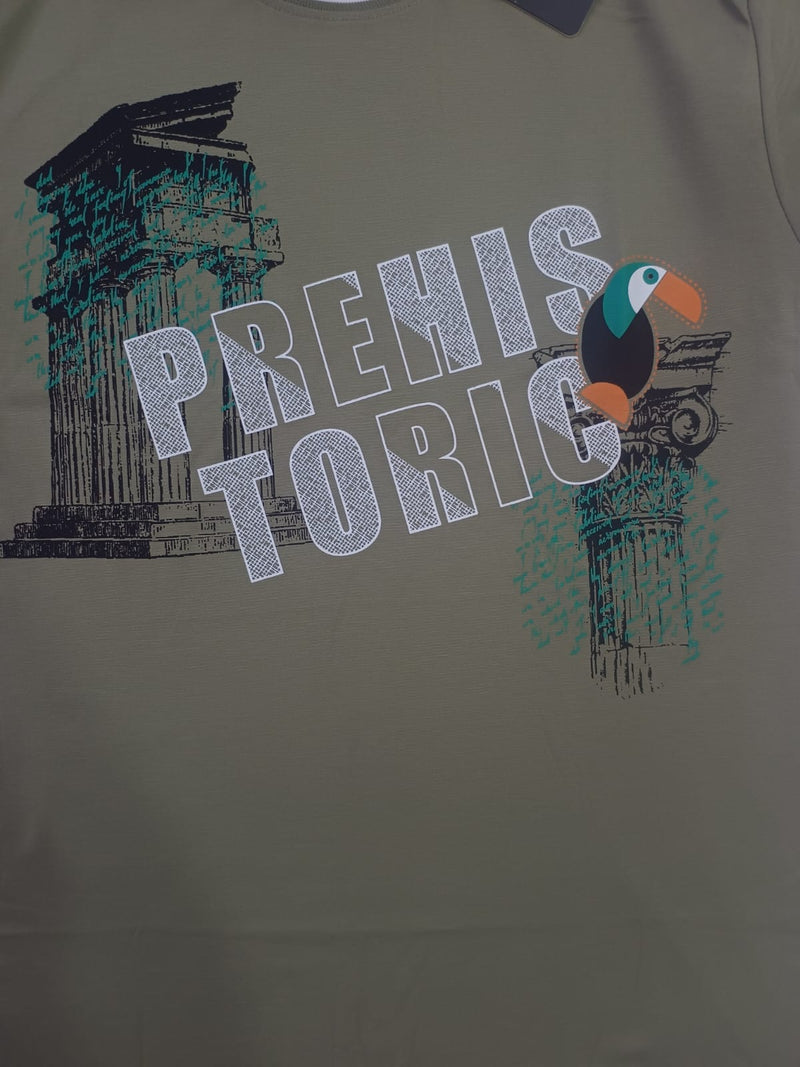 Olive Stylish T-Shirt