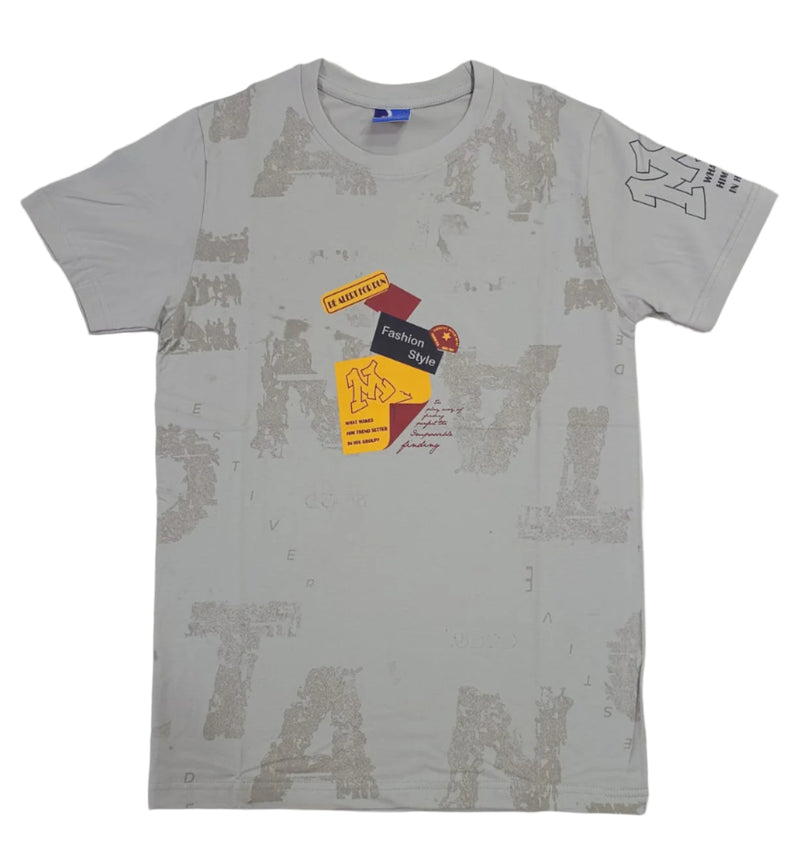 Grey Stylish T-Shirt (Front & One Sleeve Printed)